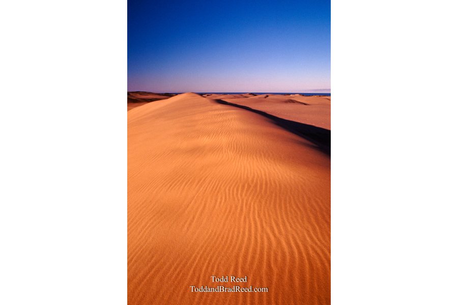 Dune Shadow