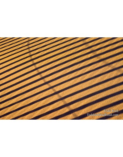 Lines In the Sand