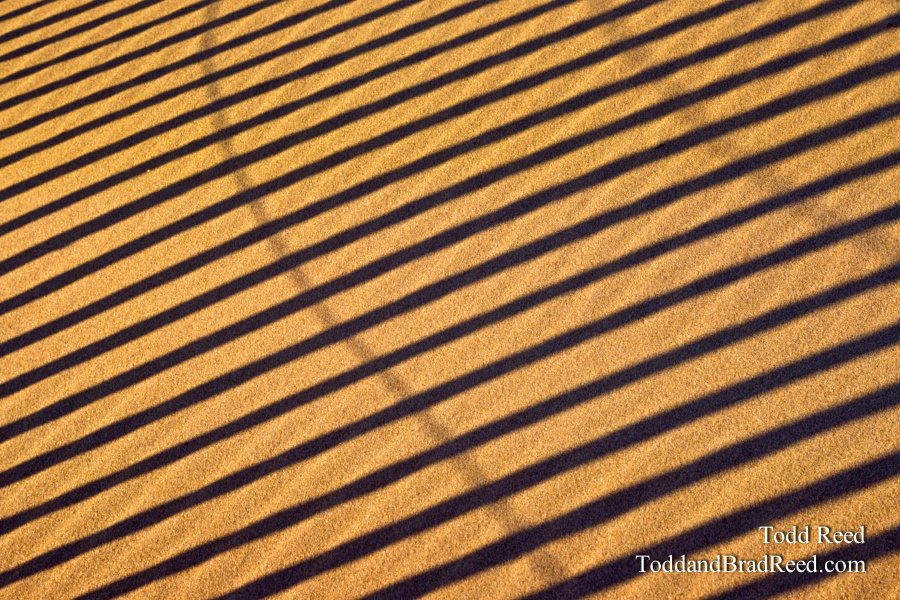 Lines In the Sand