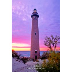 Little Sable Pink Light