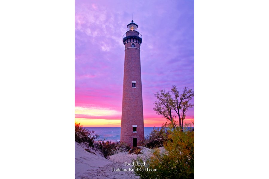 Little Sable Pink Light