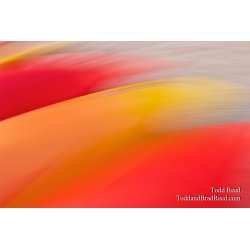 Bright Brush Strokes