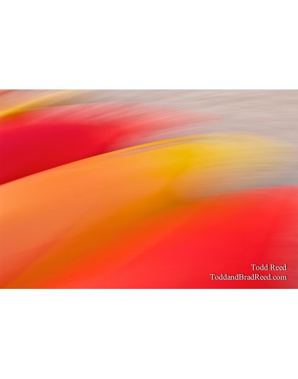 Bright Brush Strokes