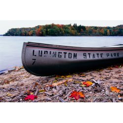 Autumn Voyager