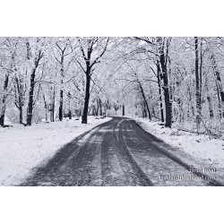 The Road Less Traveled