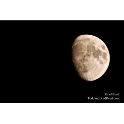 Marvelous Moon