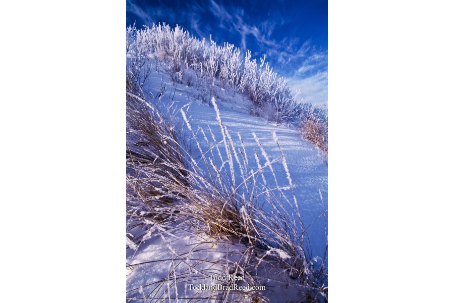 Frosty