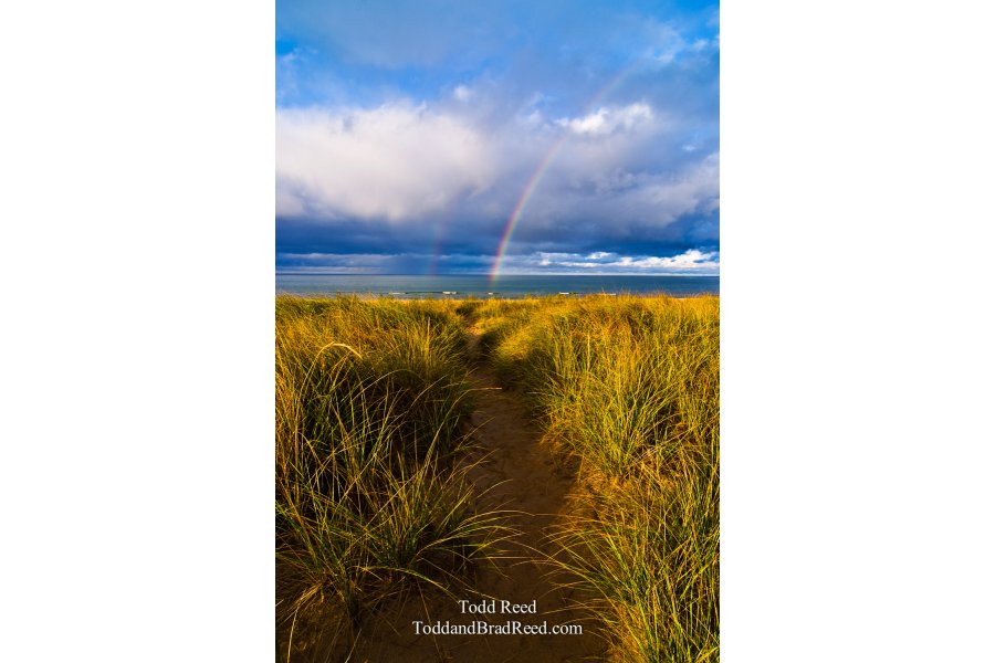 Path To Glory