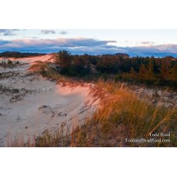 Dune Waves