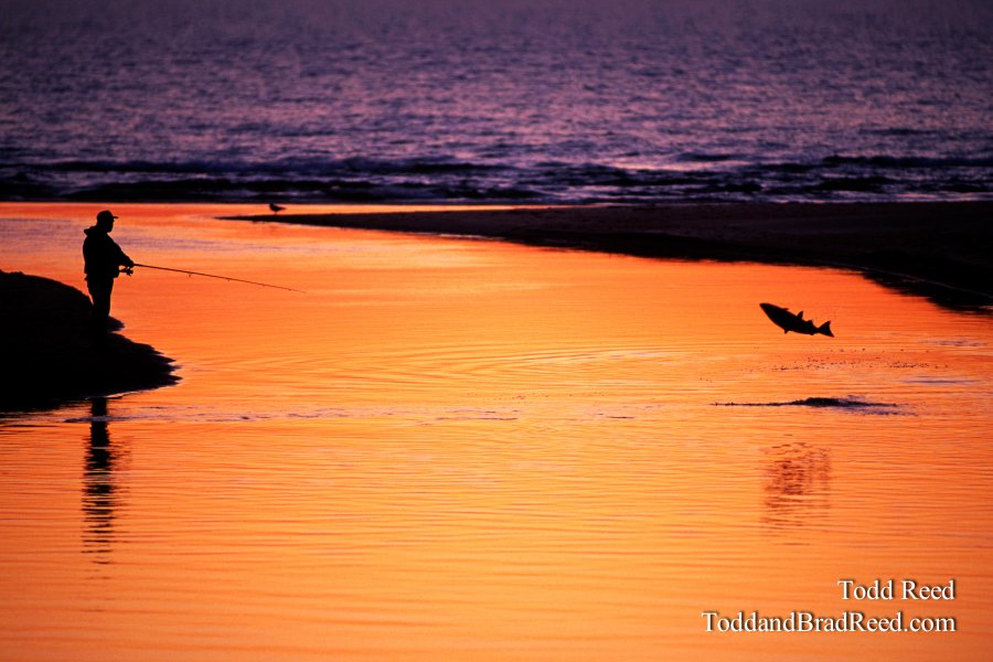 Fisherman's Dream