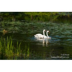 Family Outing
