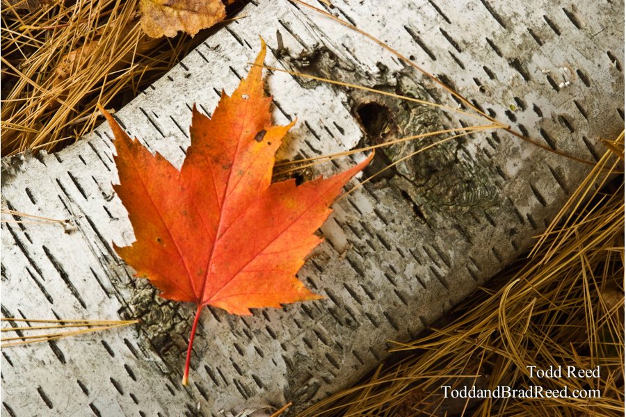 Fall Gathering