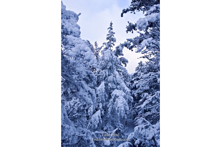 Winter World