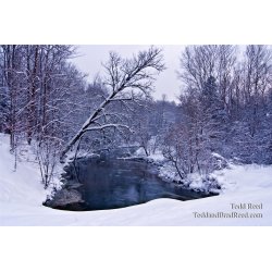 Todd Reed\'s Day 2 of 365 