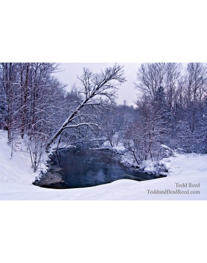 Todd Reed's Day 2 of 365 