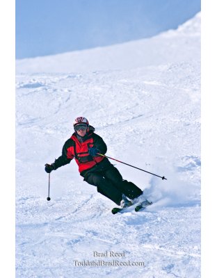 Brad Reed's Day 2 of 365 