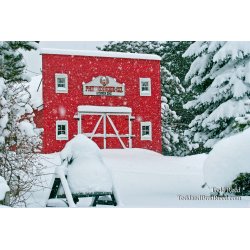Todd Reed\'s Day 3 of 365 