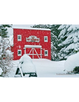 Todd Reed's Day 3 of 365 