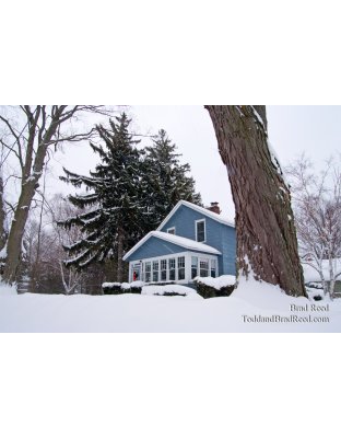 Brad Reed's Day 3 of 365 