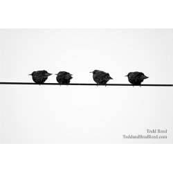 Todd Reed\'s Day 4 of 365 