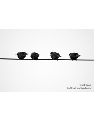 Todd Reed's Day 4 of 365 