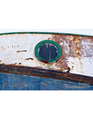 Brad Reed's Day 5 of 365 