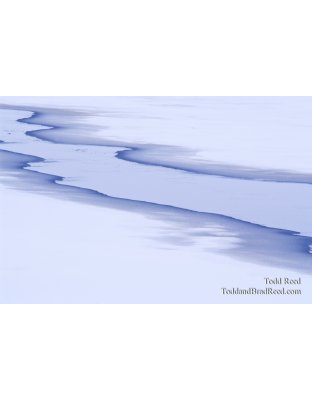 Todd Reed's Day 6 of 365 