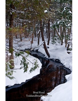 Brad Reed's Day 6 of 365 