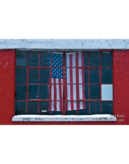 Brad Reed's Day 7 of 365 