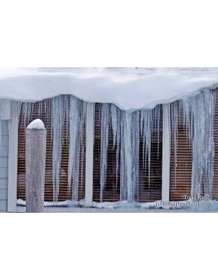 Todd Reed's Day 8 of 365 