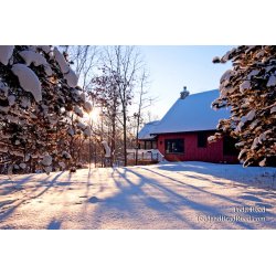 Todd Reed\'s Day 9 of 365 