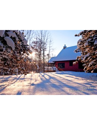 Todd Reed's Day 9 of 365 