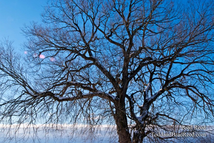 Brad Reed's Day 9 of 365 