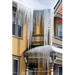 Todd Reed\'s Day 10 of 365 