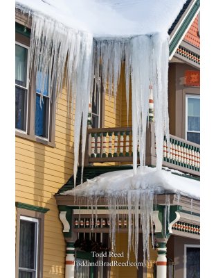 Todd Reed's Day 10 of 365 