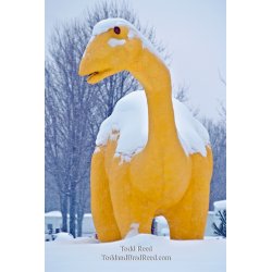 Todd Reed\'s Day 11 of 365 