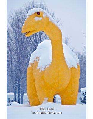 Todd Reed's Day 11 of 365 