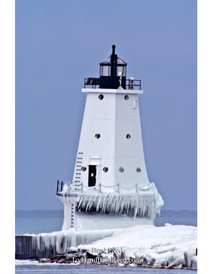 Brad Reed's Day 12 of 365 