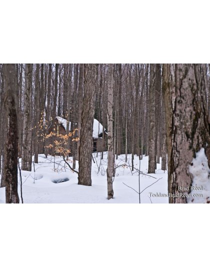 Brad Reed's Day 14 of 365 