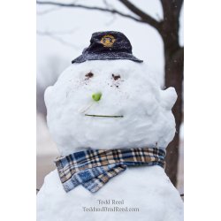Todd Reed\'s Day 15 of 365 