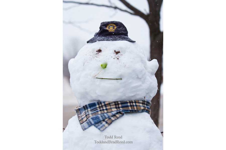 Todd Reed's Day 15 of 365 