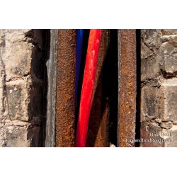 Brad Reed\'s Day 15 of 365 