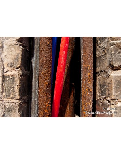 Brad Reed's Day 15 of 365 