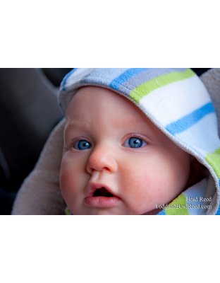 Brad Reed's Day 16 of 365 