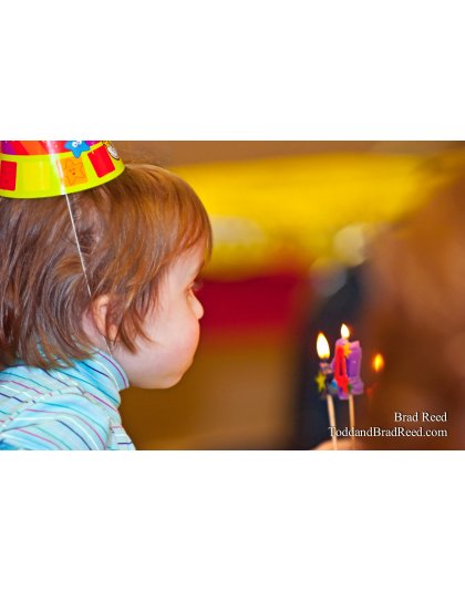 Brad Reed's Day 17 of 365 