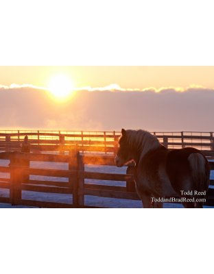 Todd Reed's Day 18 of 365 