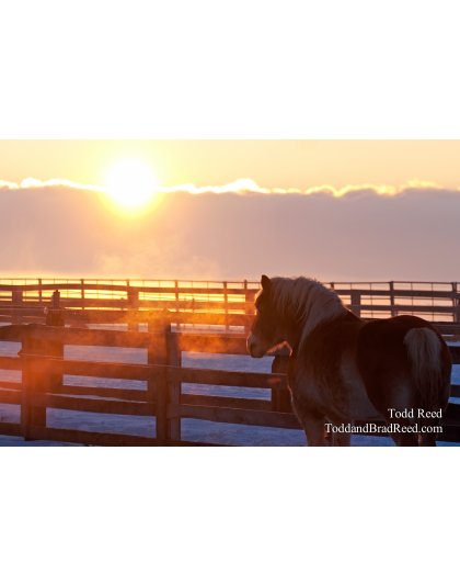 Todd Reed's Day 18 of 365 