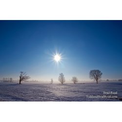 Brad Reed\'s Day 18 of 365 