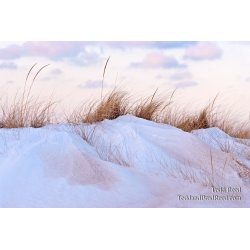 Todd Reed\'s Day 19 of 365 