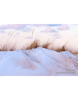 Todd Reed's Day 19 of 365 